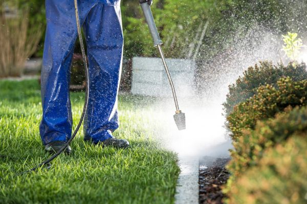 Curb Cleaning in Slidell