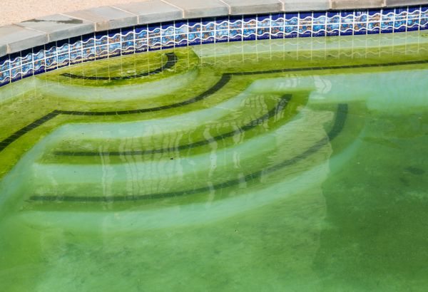 Pool Deck Algae Removal in Slidell