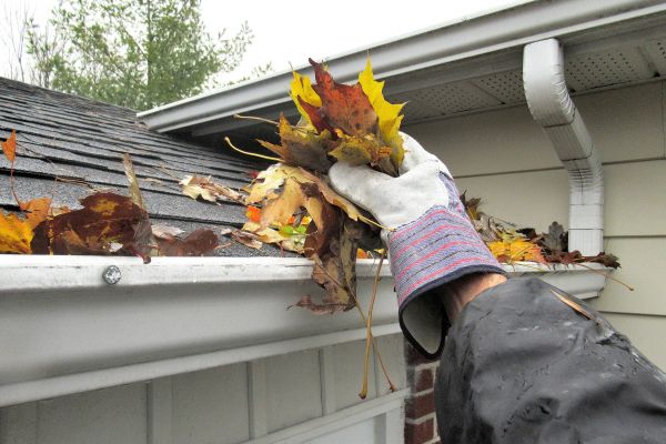 Eaves Cleaning in Slidell