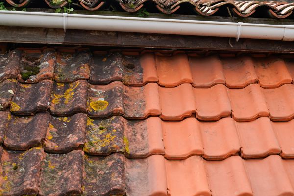 Industrial Roof Cleaning in Slidell